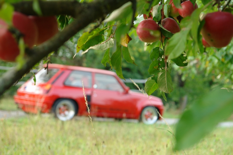 Herbst in Kalbensteinberg